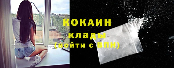 прущие крисы Алексеевка