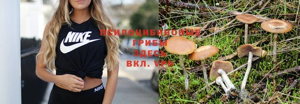 прущие крисы Алексеевка